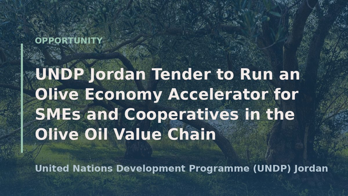 UNDP Jordan Tender to Run an Olive Economy Accelerator for SMEs and Cooperatives in the Olive Oil Value Chain