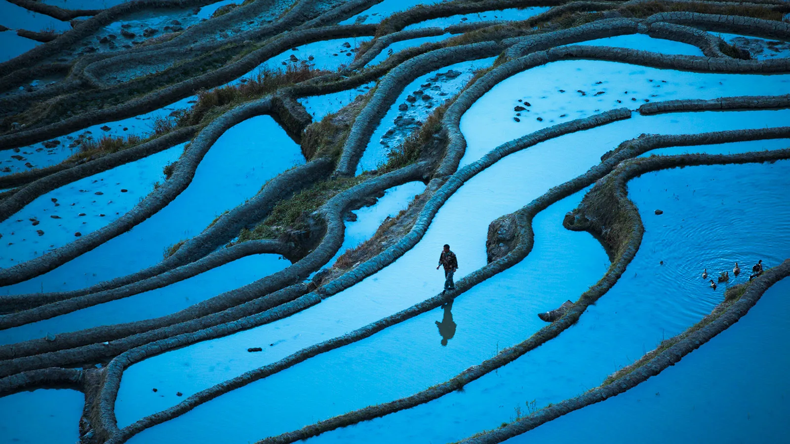 Climate Resilience Awards for Business 2026