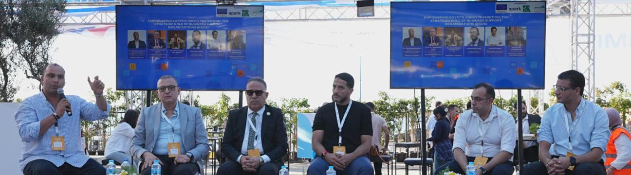 Egypt (MEK) - International Conference