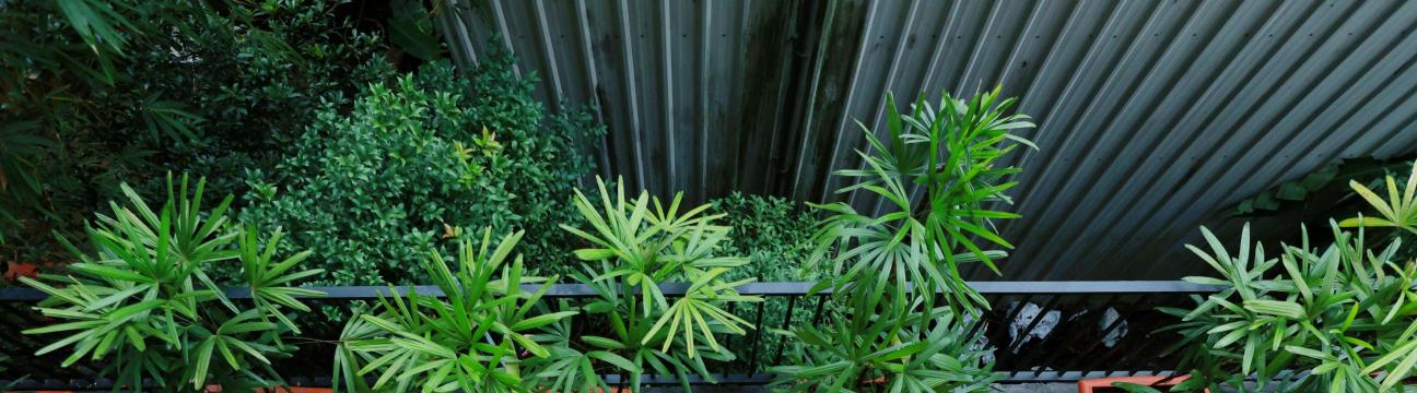 Cmk Habitat