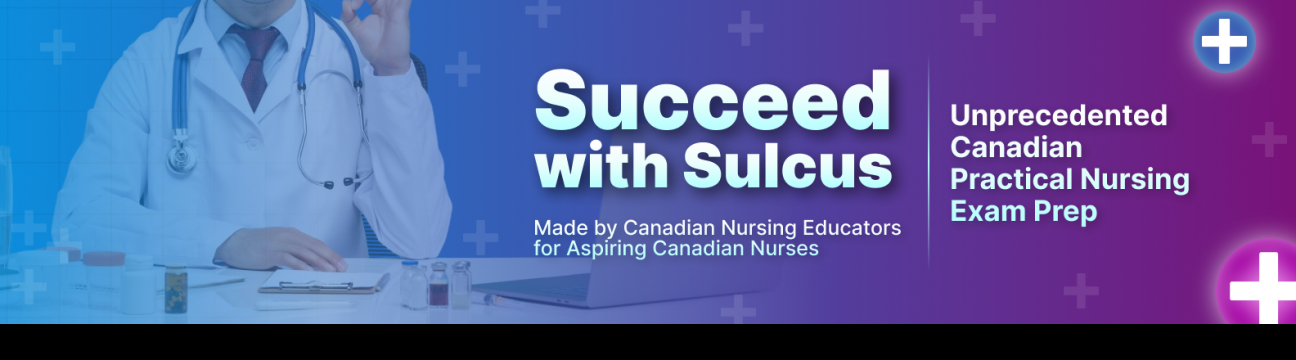 Sulcus Learning