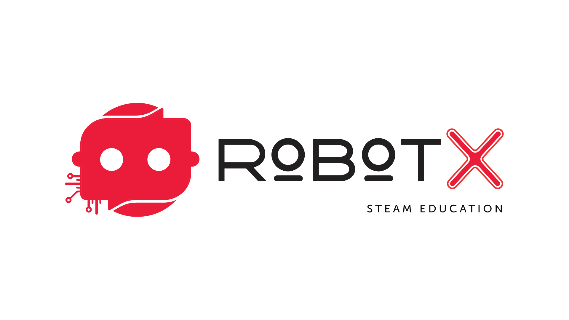 RobotX